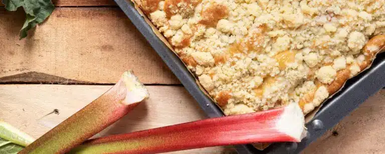 Rezept: Rhabarberkuchen mit Streuseln